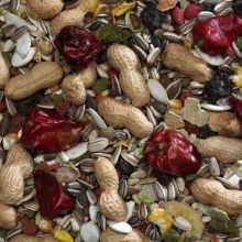Bucktons Elite Parrot Bird Food - 12.75kg